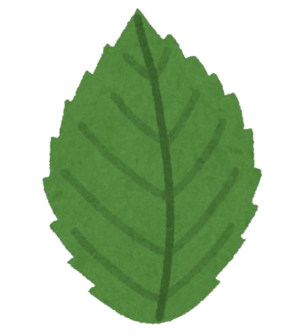 Leaf icon